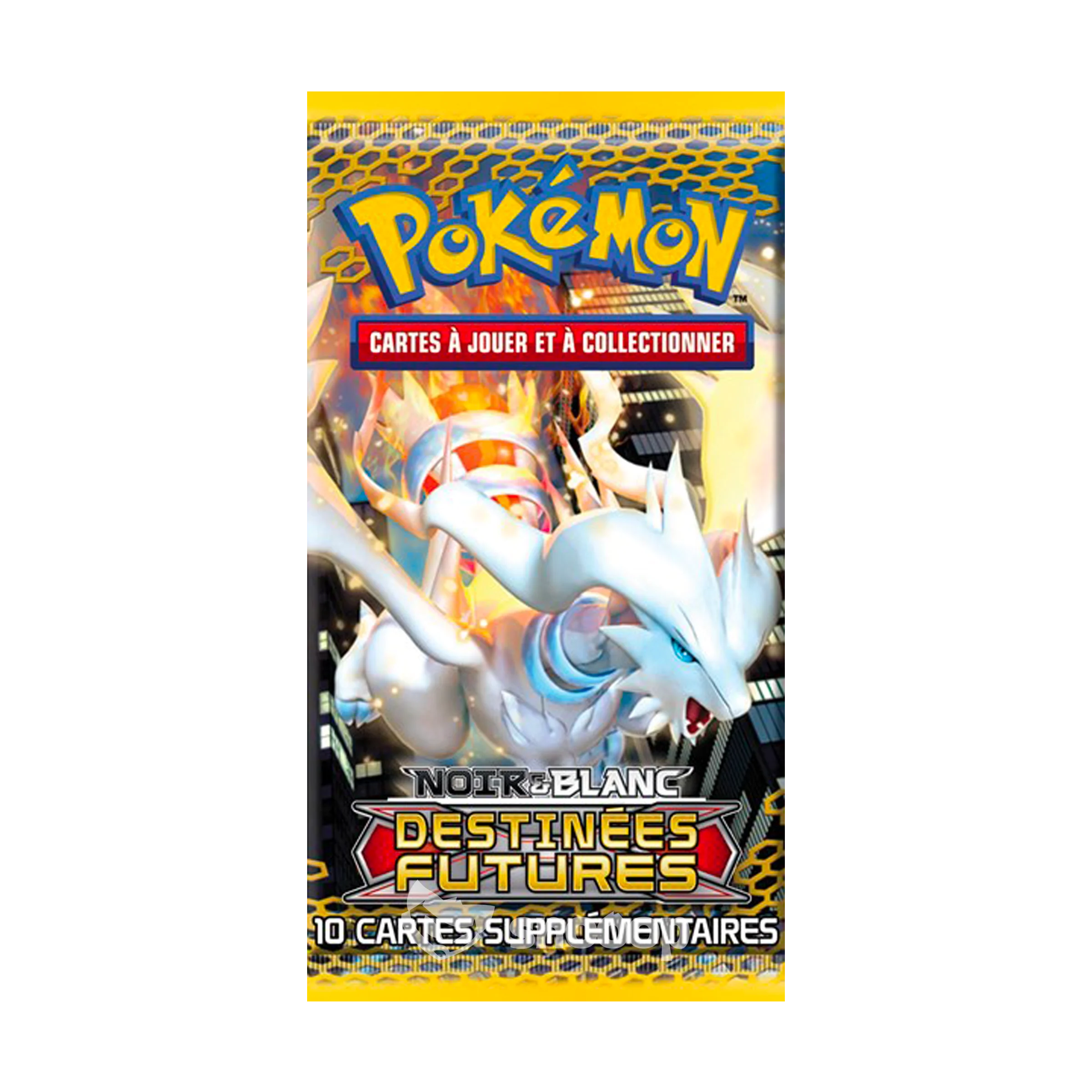 Artset Destinées Futures – Image 3